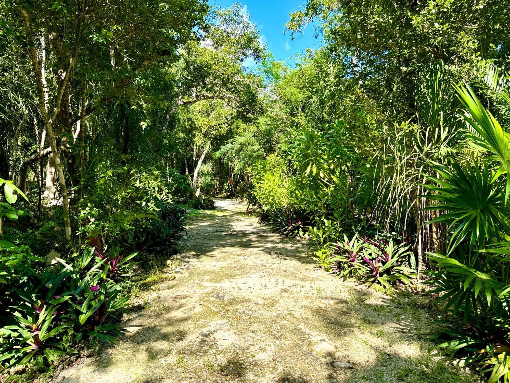 Glamping Bunga Lotus Hotel Tulum Bagian luar foto