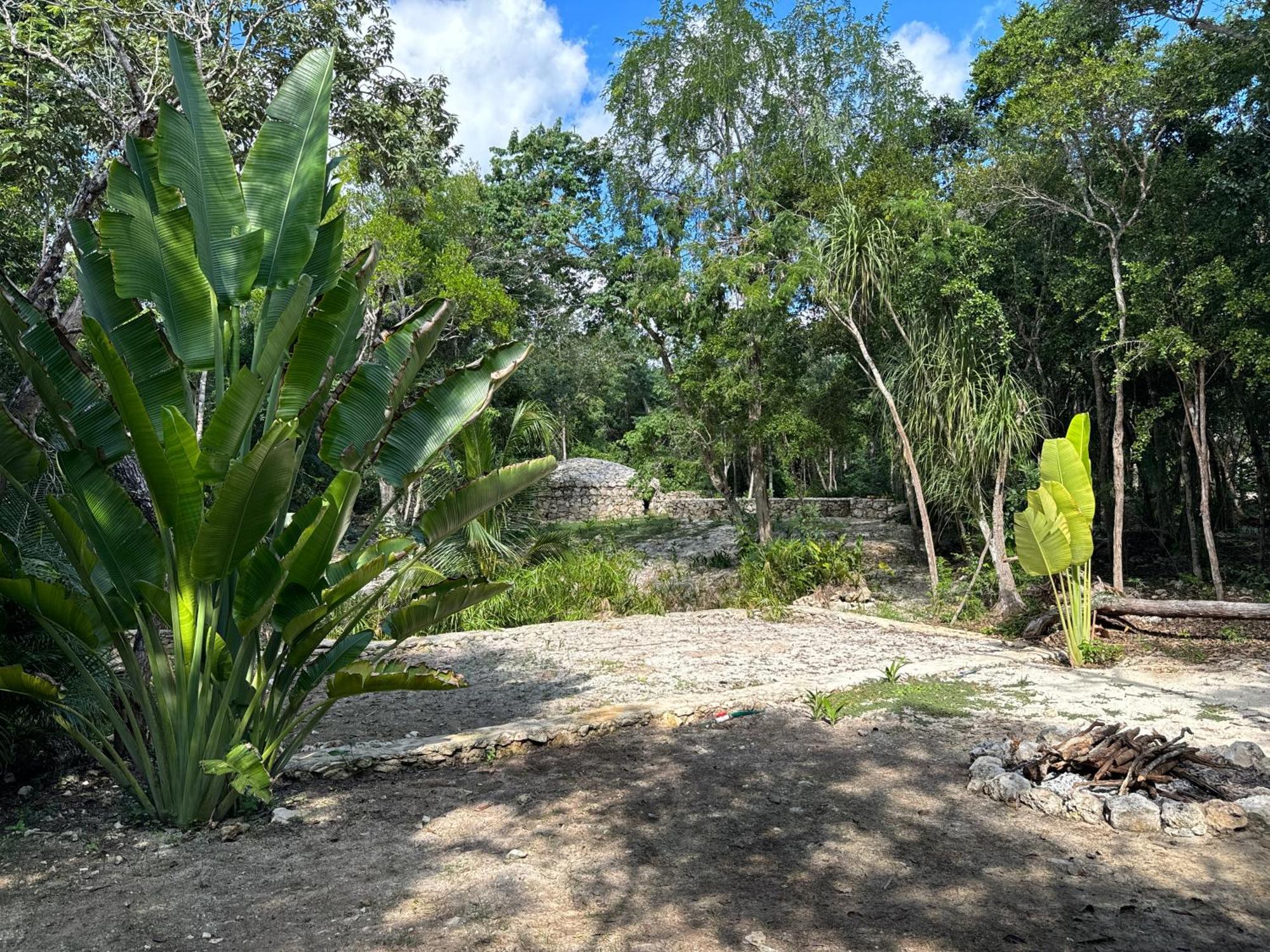 Glamping Bunga Lotus Hotel Tulum Bagian luar foto